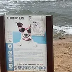 Near The Sea * 托雷维耶哈